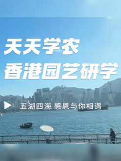 与香港园艺学会联合举办香港园艺研学，专业园境师带队讲解。