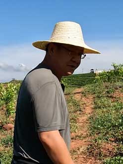 农业人叶涛，50多岁通讯人跨界搞农业，他要用1000万打造一个梦。